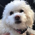 Teddi Godwin - @teddigodwin - Instagram