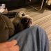Ted Goldman - Facebook