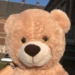 Ted le beau gosse - @ted_le_beau_gosse - Instagram