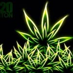 Ted Grayson - @420_420dudy - Instagram
