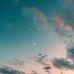 Teddy Grayson - Facebook