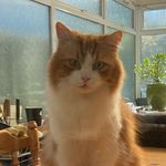 Teddy - @teddy_greenfield - Instagram