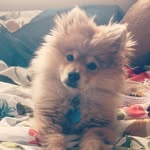 Teddy - @teddyguarino - Instagram