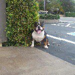 Teddy Guerrero - @tedguerrero - Instagram