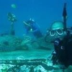 Ted Guevara - @tediver45 - Instagram