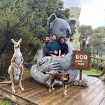 Ted Gunn - @ted.gunn.35 - Instagram