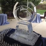 Ted Gunther - @tg5480 - Instagram