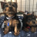 Arlo & Ted Guthrie - @arloandtedguthrie - Instagram