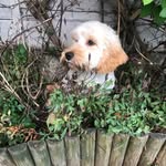 Theodore Guthrie (Ted) - @tedguthrieadventures_ - Instagram