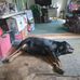 Theodore Gutwein - Facebook