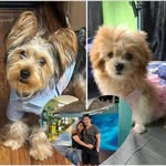 Ted G De Guzman - @otokohansamu9 - Instagram