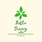 Tedha Succuy - @tedhaasuccuy - Instagram