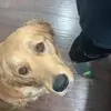 fuckyou? - @tedhackenberg - TikTok