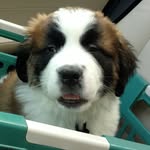 Ted Rockford - @tedhackeriv - Instagram