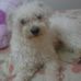 Ted Haddad - Facebook