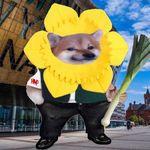 Ted Haddock - @ted_haddock - Instagram