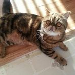 Ted Ted Haddock - Facebook