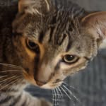 Tedd - @tedd.hadley - Instagram