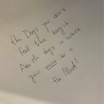 @teddy_hagan - Instagram