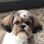 Maisie Hagan - @teddybear_hagan - Instagram