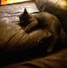 Ted Hager - Facebook