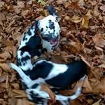 Teddie Jones - @ted.und.der.hahn - Instagram