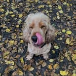 Ted Hale - @tedshowcocker - Instagram