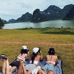 Ted Hale - @xiaoyangshibaozi001 - Instagram