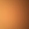 Ted Haley - @ted.haley8 - TikTok