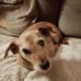 Ted Hall - Facebook