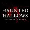 HauntedHallowsTX - @hauntedhallowstx - TikTok