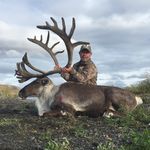 Ted Hallows - @ted_hallows - Instagram