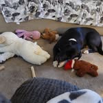 Teddie King-Hamby - @serendipity10199 - Instagram