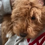 ted + hamilton ❤️ - @tedandhamilton - Instagram
