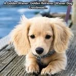 Ted Hamilton - Facebook