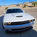Ted Hamilton - @tedhamilton72 - Instagram