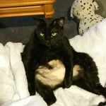 Ted Hamlin - @horsefly1959 - Instagram