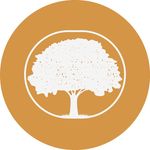 Ted Hamm Insurance Agency - @thiapaso - Instagram
