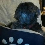 Ted Hammond - @hammond.ted - Instagram