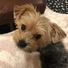 Teddy - @._teddy.hammer - TikTok