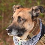 Ted Hammond - @te.ddy726 - Instagram