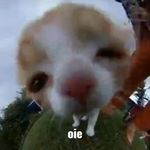 boa hancock's cüm søck - @boa.hancockimpregnatedme - Instagram