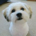 Teddy Hancock - @teddyokun - Instagram