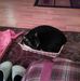 Ted Handley - Facebook