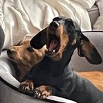 Teddy Handley - @teddy_handley - Instagram