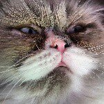 Ted Haney - @ted.the.jerk - Instagram