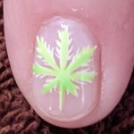 Ted Haney - @tedhaney - Instagram