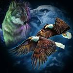 Ted Haney - @tedh.58 - Instagram