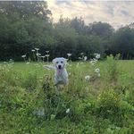 Ted Hanna - @ted.hanna.73 - Instagram