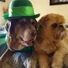 Ted Sarbaugh - @ted.sarbaugh - TikTok